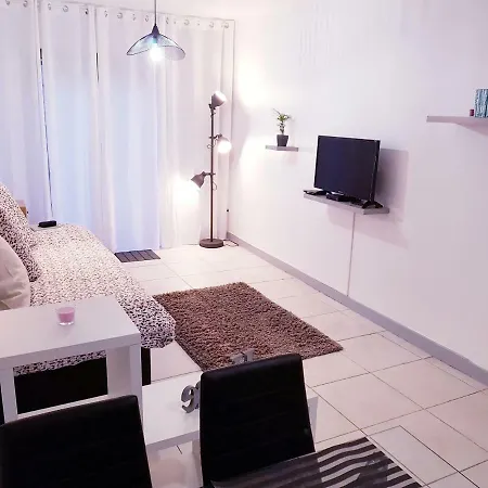 Hyper Centre, Confort Apartment Lourdes